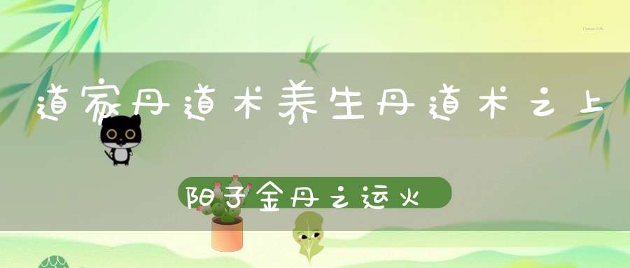道家丹道术养生丹道术之上阳子金丹之运火行符和朔望弦晦
