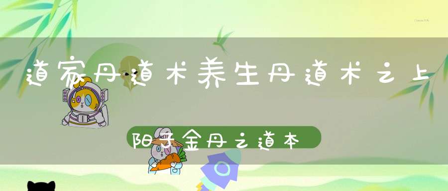 道家丹道术养生丹道术之上阳子金丹之道本阴阳和金液还丹等