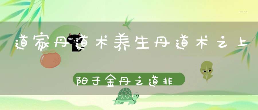 道家丹道术养生丹道术之上阳子金丹之道非言显和脱胎去留等