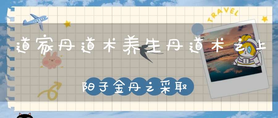 道家丹道术养生丹道术之上阳子金丹之采取和真土和神化