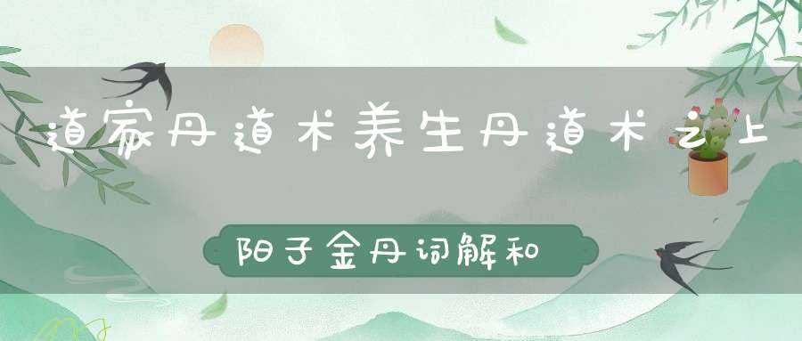 道家丹道术养生丹道术之上阳子金丹词解和口诀