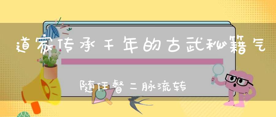 道家传承千年的古武秘籍气随任督二脉流转