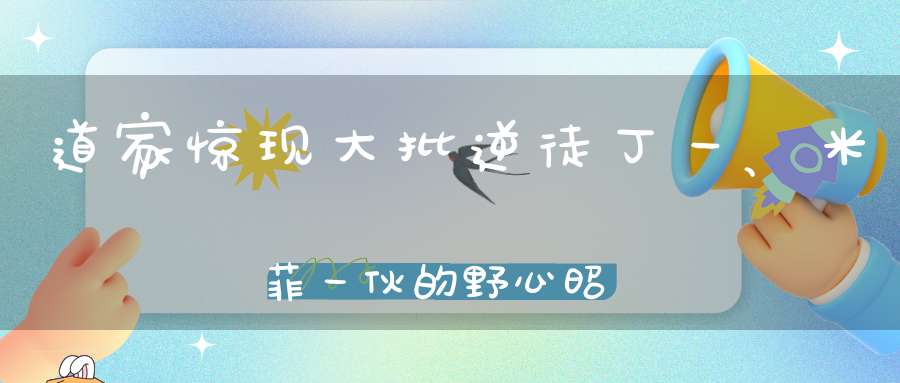 道家惊现大批逆徒丁一、米菲一伙的野心昭然若揭！二子爷为丁一鸣不平斥责姚永纯都把丁一欺负啥样了