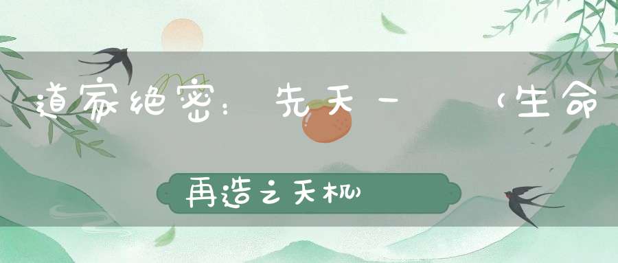道家绝密：先天一炁（生命再造之天机）