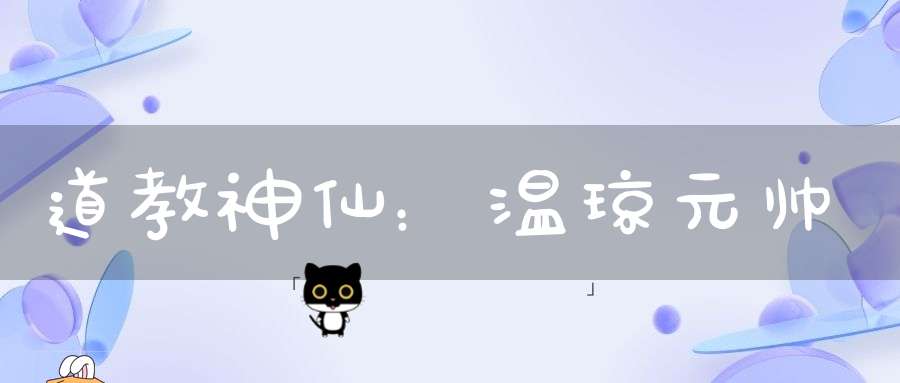 道教神仙：温琼元帅