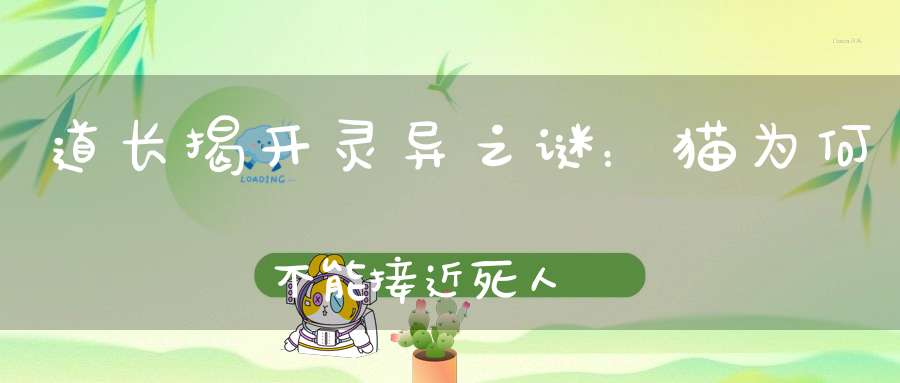 道长揭开灵异之谜：猫为何不能接近死人
