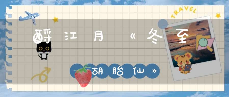 酹江月《冬至贈胡胎仙》