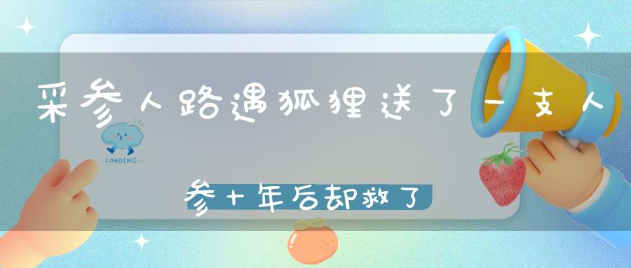 采参人路遇狐狸送了一支人参十年后却救了整个采参队