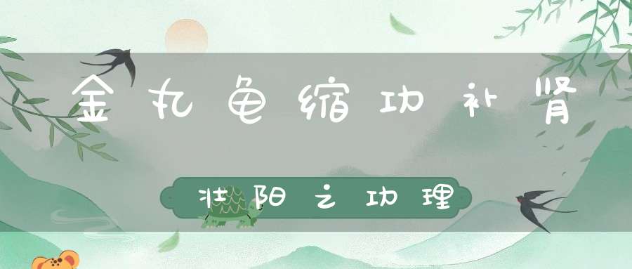 金丸龟缩功补肾壮阳之功理