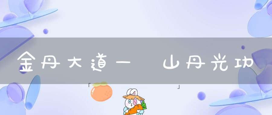 金丹大道—華山丹光功