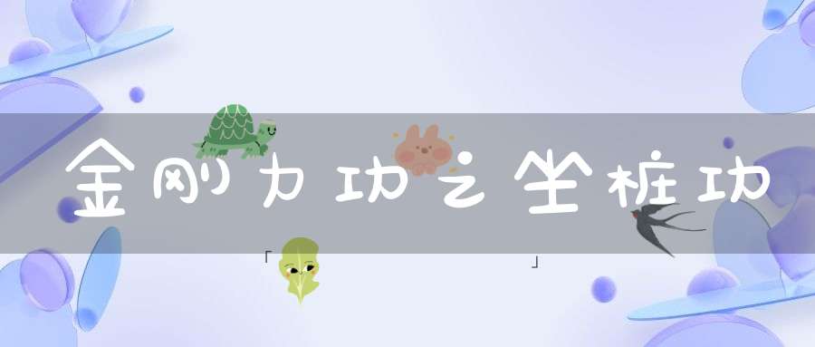 金刚力功之坐桩功