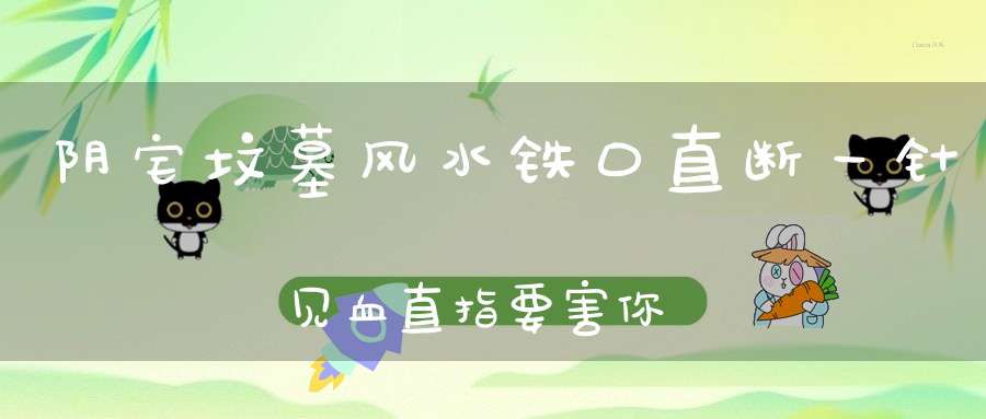 阴宅坟墓风水铁口直断一针见血直指要害你也可以成为风水师