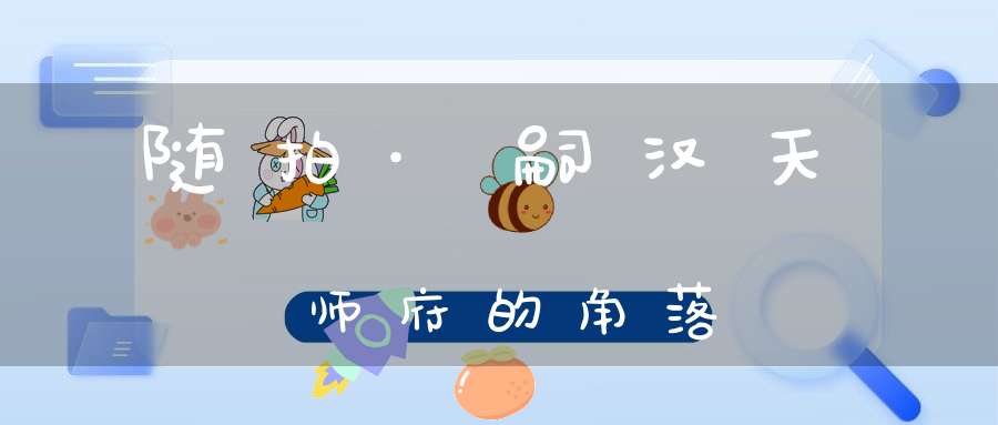 随拍·嗣汉天师府的角落
