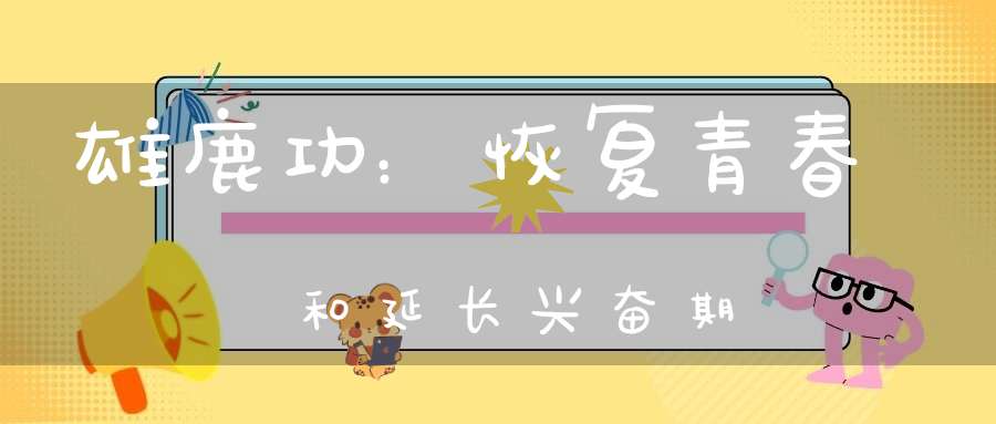 雄鹿功：恢复青春和延长兴奋期