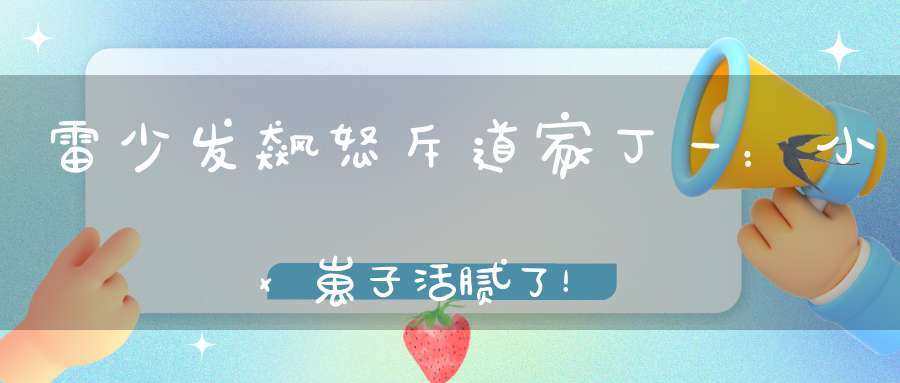 雷少发飙怒斥道家丁一：小x崽子活腻了！最新网红粉丝成长排行！