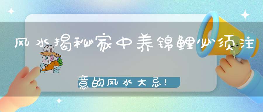 风水揭秘家中养锦鲤必须注意的风水大忌！