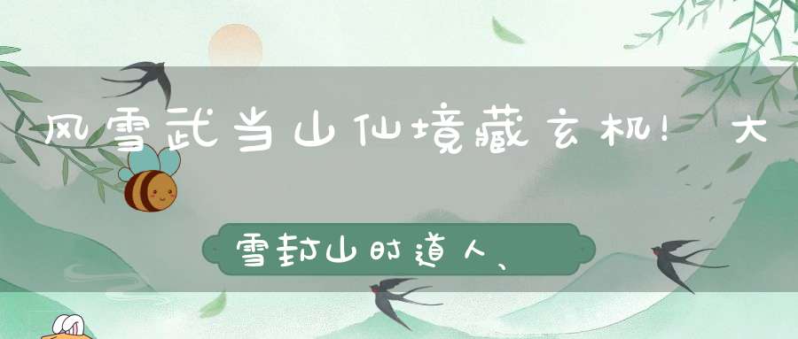 风雪武当山仙境藏玄机！大雪封山时道人、隐士都在干什么！