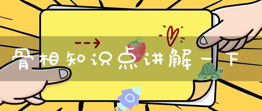 骨相知识点讲解一下