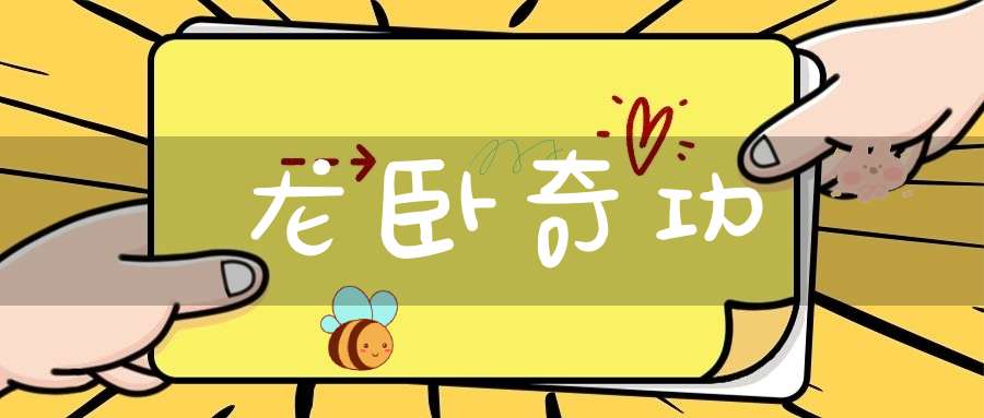 龙卧奇功