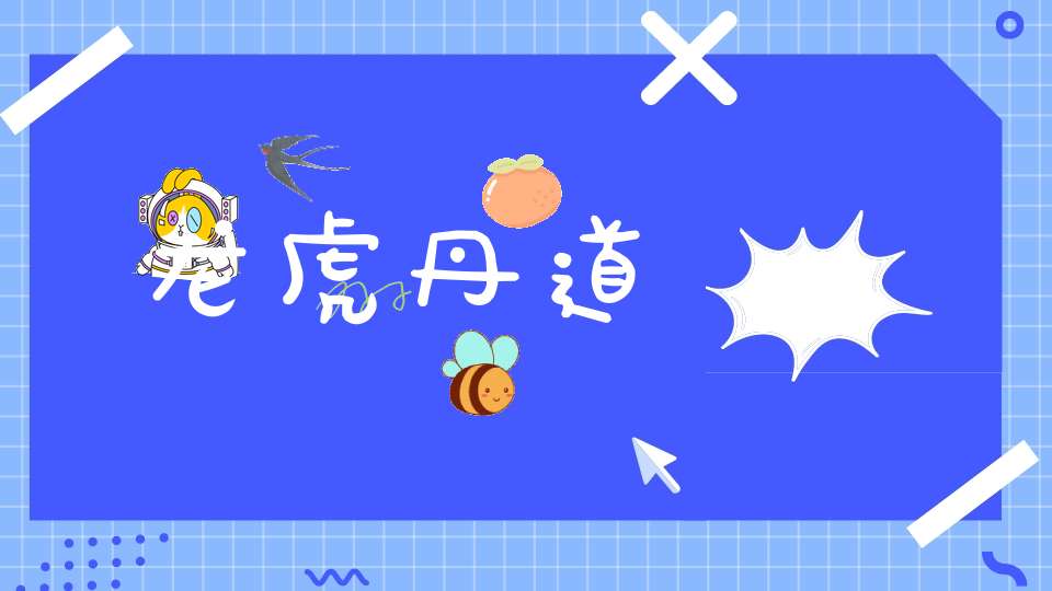 龙虎丹道