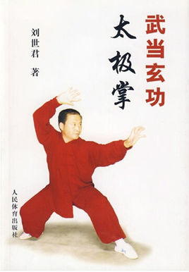 武当玄功太极掌