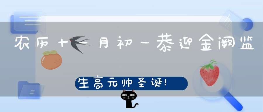 农历十一月初一恭迎金阙监生高元帅圣诞！